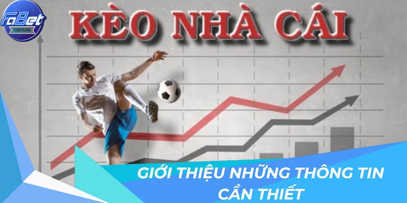 Giới thiệu những thông tin cần thiết về Kèo nhà cái FABET